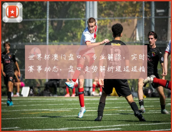 世界杯澳门盘口，专业解读，实时赛事动态，盘口走势解析逗逗逗精彩不断
