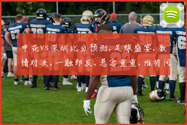 申花vs深圳比分预测,足球盛宴,激情对决,一触即发,悬念重重,谁将问鼎