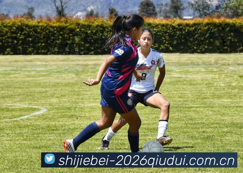 世界杯2026球队发展历程